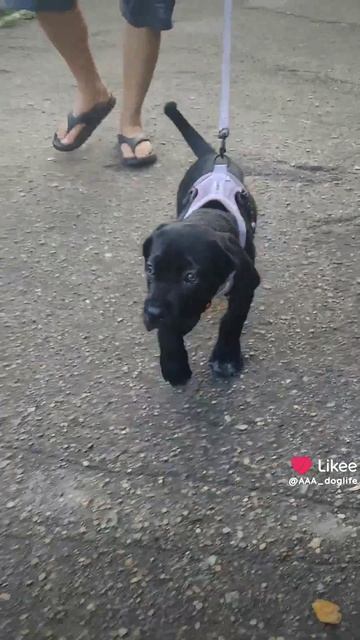1000060078.mp4