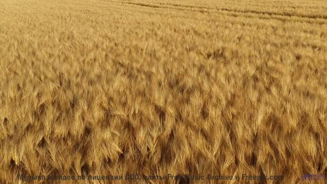 Кадры, в которых хочется остаться жить - под такую музыку особенно - Dream I was in Canada (ID 739)