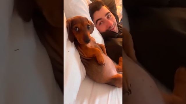 1000063194.mp4