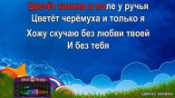 Цветёт калина (караоке)