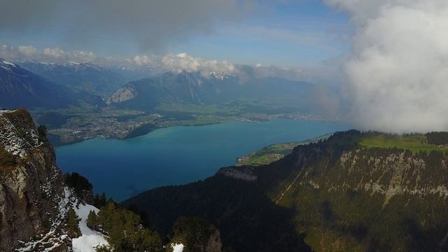 DJI 0005