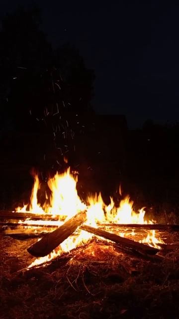 Трещащий костёр