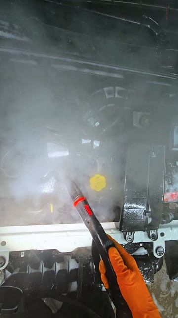 мойка М3 Бухарестская. Мойка двигателя и радиатора со снятием бампера