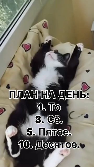 VID_20250714_132429_298.mp4