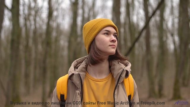 Ты почувствуешь, как природа становится частью тебя - Darkness Falls So Quiet -- Nicole Atkins -- Li