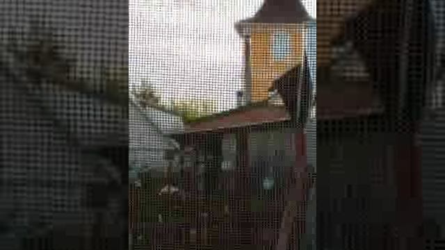 Слониха не успокаивается