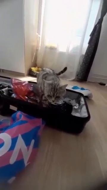 Если бы Вы были моей женой 😅
