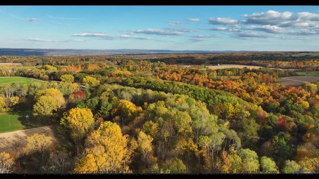 Включите этот трек - и пусть тело движется в ритме любви! - Orange Peel -- Kirk Osamayo -- Season Tw
