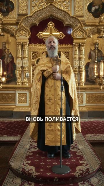 ОБЪЕДИНЯЙТЕСЬ, ПРАВОСЛАВНЫЕ | ИЕРОМОНАХ ДАВИД | ВАЛААМСКИЙ МОНАСТЫРЬ