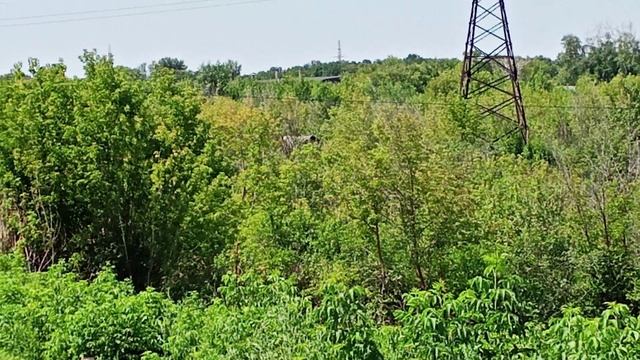 13.07.2025 11:41.mp4