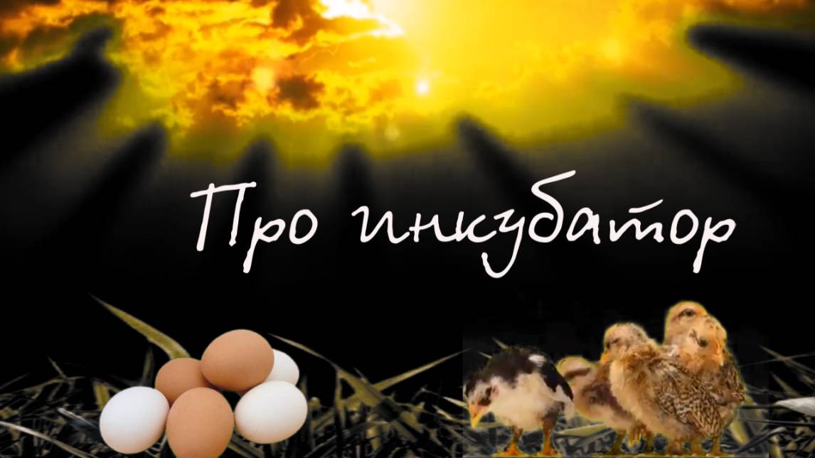 Про инкубатор