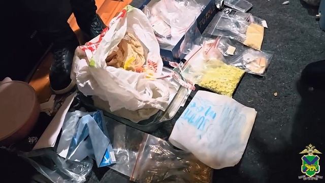 Во Владивостоке полицейские накрыли участников ОПГ за торговлю наркотиками в даркнете