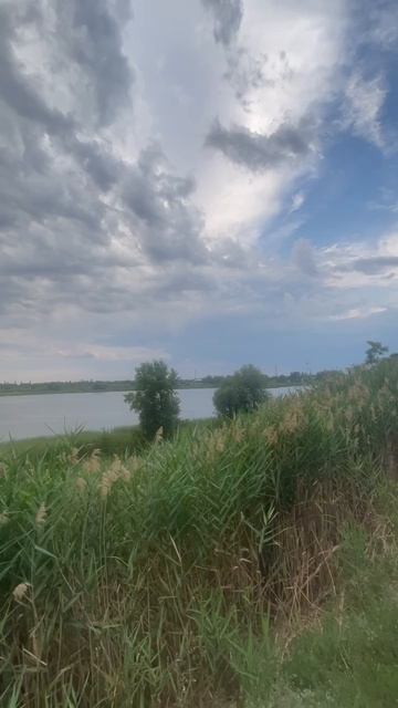 ПАСТОРАЛЬ