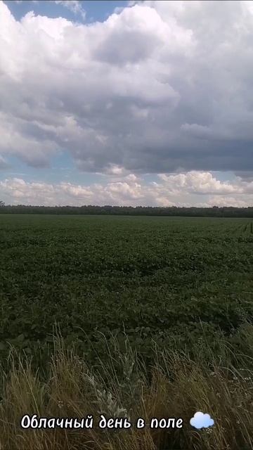 Облачный день в поле.