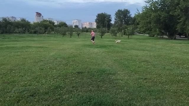 Тренировка челнока в парке.mp4