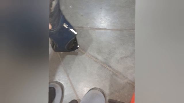 Утро начинается с жабы!?