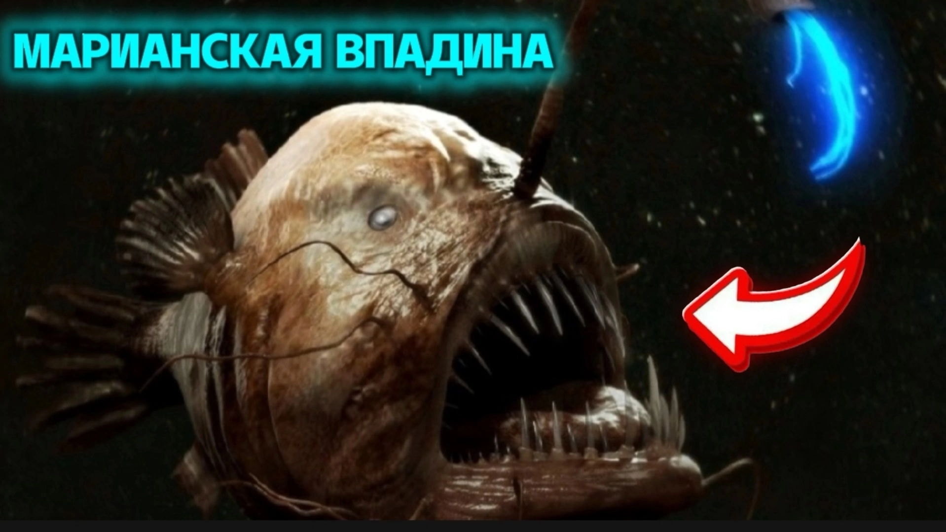 Ужасы Марианской Впадины