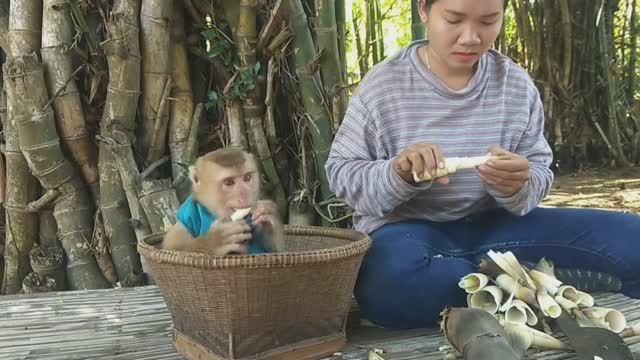 Обезьянку КРОХОТУЛЕЙ нашли в лесу одну Несли и жила в корзине Теперь не отдает Убегает СМЕШИНКА