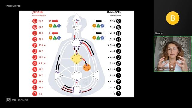 Что можно узнать через систему Дизайн Человека?