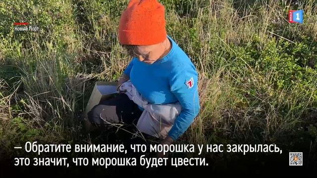 Фольклорная экспедиция на Крайний Север