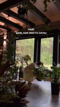 #озеленение #фитодизайн #комнатныерастения