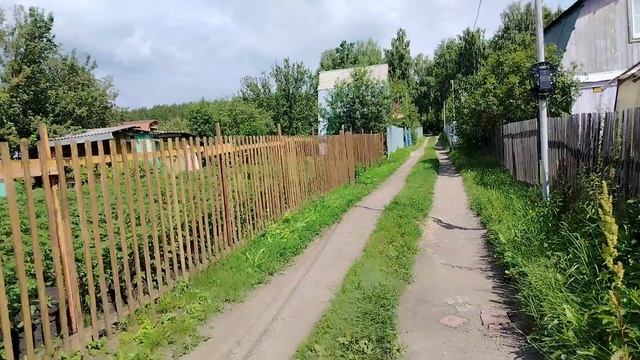 Видео привет, 14 июля 2025 года. Иду по лесу на дачку. .