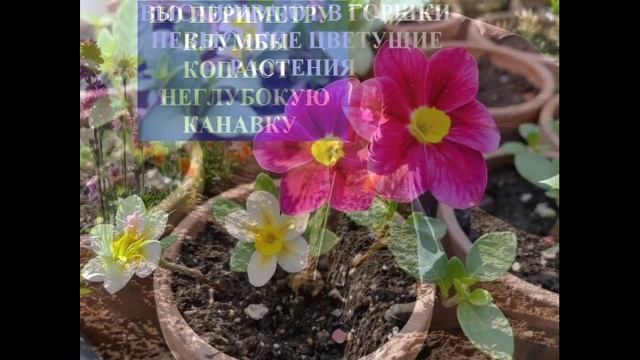 Креативный цветочный бордюр вокруг клумбы