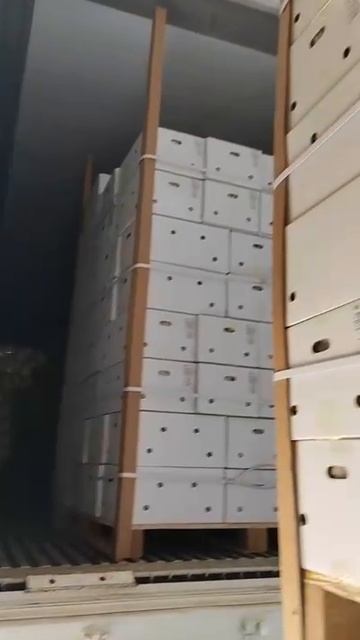 Погрузка овощей на фабрике в Китае