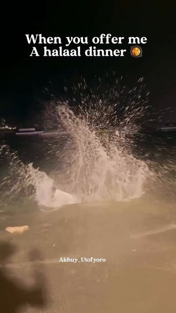 1000028081.mp4