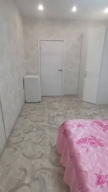 11558