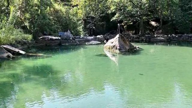 Камень - фонтан на Лебединном озере Воронцовкого парка.