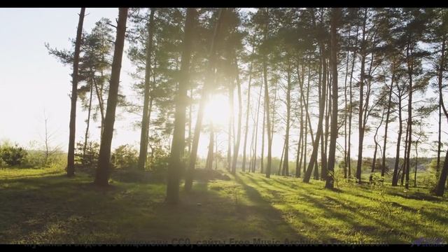 Природа в этом видео оживает под невероятную музыку - Inside Outside -- Derek Clegg -- Faces (re-rel