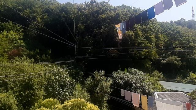 Сушка вещей, отдых в Лазаревском