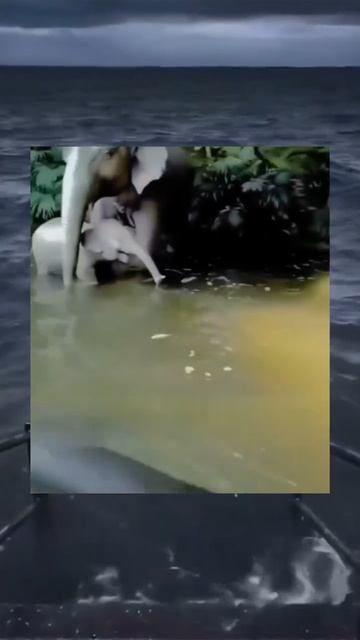 1000063213.mp4