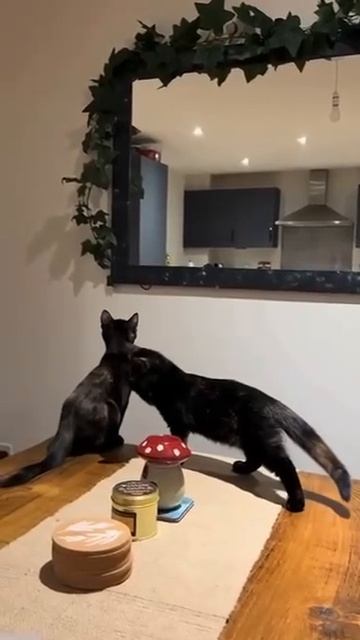 Стоп!