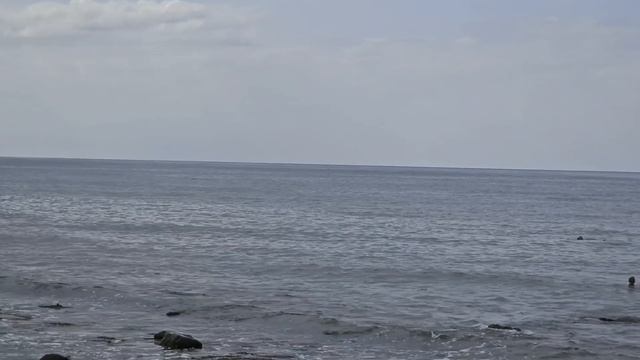 #69.Анапу завалило абрикосами.Купалась.Сын уже в Москве.Приехал на Павелецкий вокзал.