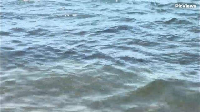 Геленджик Городской пляж у парка Лукоморье сегодня 14 июля 2025. Море и погода в Геленджике сейчас