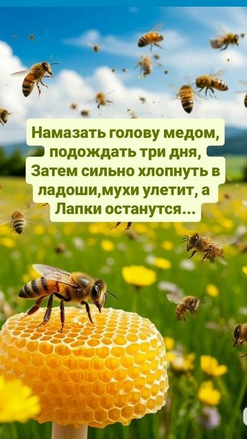 Рецепт для Лысых