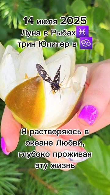 #14июля2025 #гороскопдня