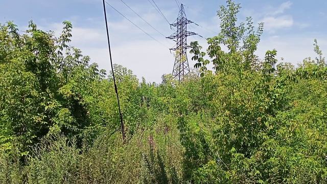 13.07.2025 11:30.mp4