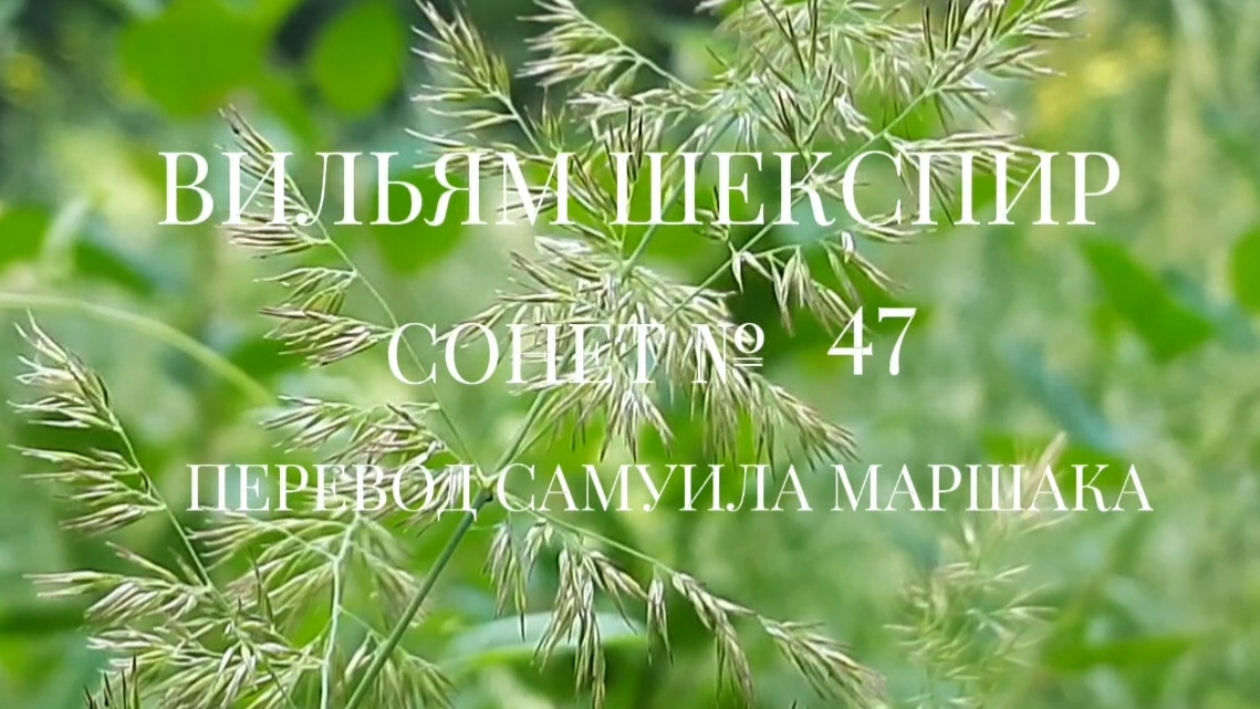 Вильям Шекспир. Сонет № 47. Пер. Самуила Яковлевича Маршака (У сердца с глазом тайный договор)