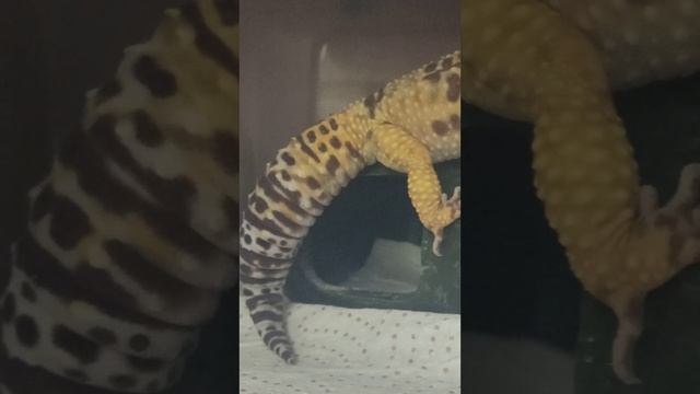 Утро в нашем коллективе. 11 июля 2025 г.