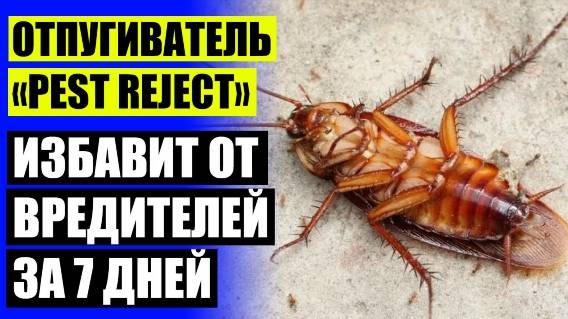 ⚫ Отпугиватель крыс Чистый Дом купить 🎯 Отпугиватель насекомых купить СПб
