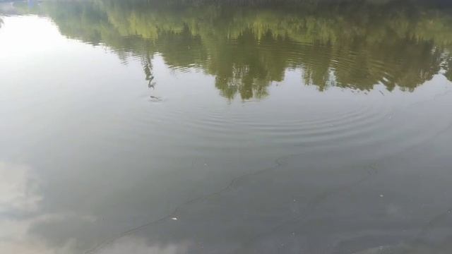 Олег продолжает ловить
