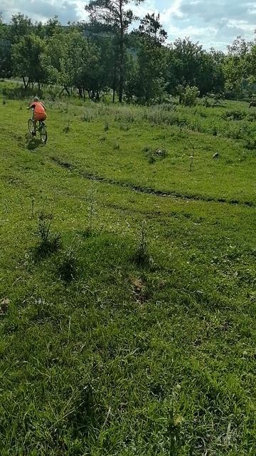 VID_20250713_171527.mp4