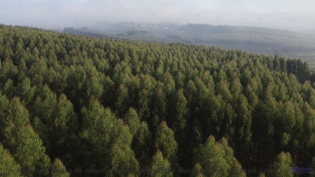 Музыка превращает съёмку в настоящий портал в мечты - in accordance to natural law -- los pilotos --