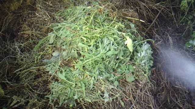 Орошение пополняемой компостной кучи.