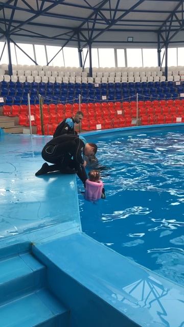 Когда очень хотелось поплавать с дельфинами и передумала