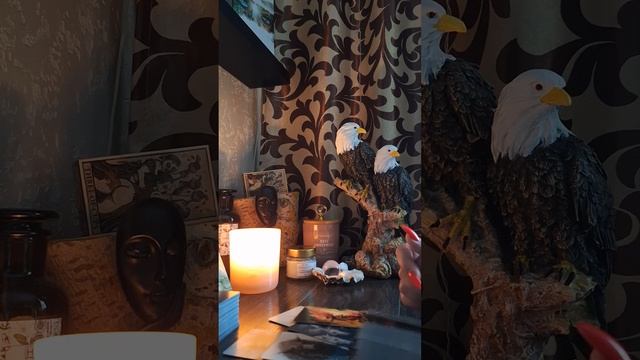 1000007507.mp4