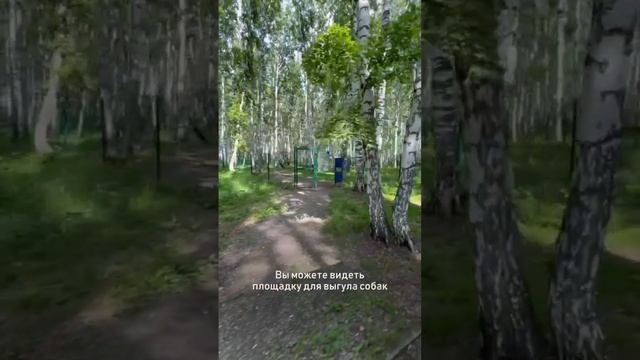 Самая честная экскурсия по Соловьям. Часть 2